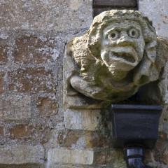 Fancy Photographing Gargoyles?